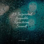 25 Inspirited Loopable Rainstorm Sounds