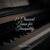 25 Classical Tunes for Tranquility