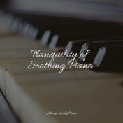Tranquility of Soothing Piano