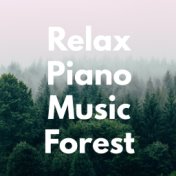 Relax Piano Music Forest