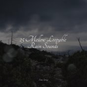 25 Mellow Loopable Rain Sounds