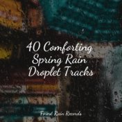 40 Comforting Spring Rain Droplet Tracks