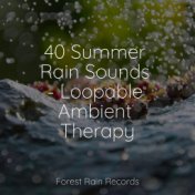 40 Summer Rain Sounds - Loopable Ambient Therapy