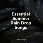 Essential Summer Rain Drop Songs