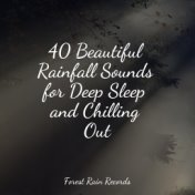 40 Beautiful Rainfall Sounds for Deep Sleep and Chilling Out