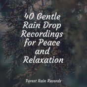 40 Gentle Rain Drop Recordings for Peace and Relaxation