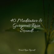 40 Meditative & Gorgeous Rain Sounds