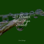 25 Winter Raine Yoga Sounds