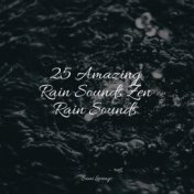 25 Amazing Rain Sounds Zen Rain Sounds