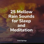 25 Mellow Rain Sounds for Sleep and Meditation