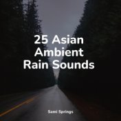 25 Asian Ambient Rain Sounds