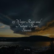 25 Winter Rain and Nature  Rain Sounds