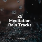 25 Meditation Rain Tracks