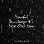 Peaceful Soundscape 40 Deep Sleep Rain