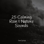 25 Calming Rain & Nature Sounds