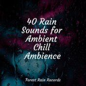 40 Rain Sounds for Ambient Chill Ambience