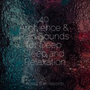 40 Ambience & Rain Sounds for Deep Sleep and Relaxation