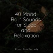 40 Mood Rain Sounds for Sleep and Relaxation