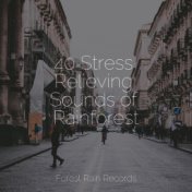 40 Stress Relieving Sounds of Rainforest