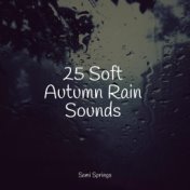 25 Soft Autumn Rain Sounds