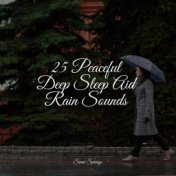 25 Peaceful Deep Sleep Aid Rain Sounds