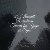 25 Tranquil Rainstorm Tracks for Yoga or Spa