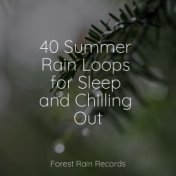 40 Summer Rain Loops for Sleep and Chilling Out