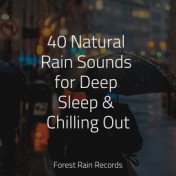 40 Natural Rain Sounds for Deep Sleep & Chilling Out