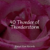 40 Thunder of Thunderstorm