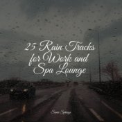 25 Rain Tracks for Work and Spa Lounge