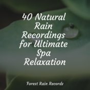 40 Natural Rain Recordings for Ultimate Spa Relaxation