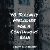 40 Serenity Melodies for a Continuous Rain