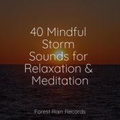 40 Mindful Storm Sounds for Relaxation & Meditation