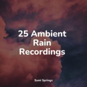 25 Ambient Rain Recordings