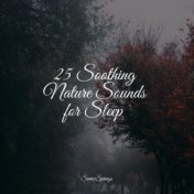 25 Soothing Nature Sounds for Sleep