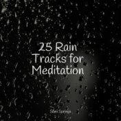 25 Rain Tracks for Meditation