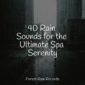 40 Rain Sounds for the Ultimate Spa Serenity