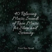 40 Relaxing Music Sounds of Rain Music for Sleep and Serenity