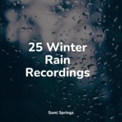 25 Winter Rain Recordings