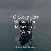 40 Sleep Rain Sounds for Relaxing & Sleep