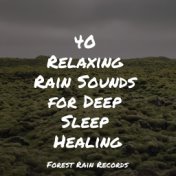 40 Relaxing Rain Sounds for Deep Sleep Healing