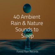 40 Ambient Rain & Nature Sounds to Sleep