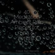 40 Meditation Ambient Rain Pieces for Spa & Serenity