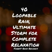 40 Loopable Rain, Ultimate Storm for Complete Relaxation