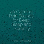 40 Calming Rain Sounds for Deep Sleep and Serenity