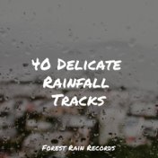 40 Delicate Rainfall Tracks