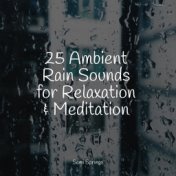 25 Ambient Rain Sounds for Relaxation & Meditation