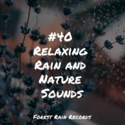 #40 Relaxing Rain and Nature Sounds