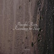 Peaceful Rain Recordings for Sleep