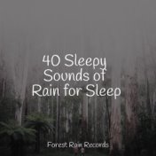 40 Sleepy Sounds of Rain for Sleep
